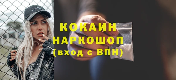 гидра Нея